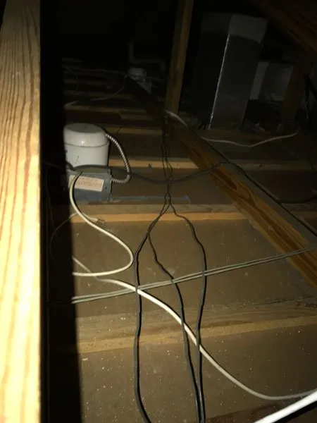 Slide of American Insulation & Rodent Solutions