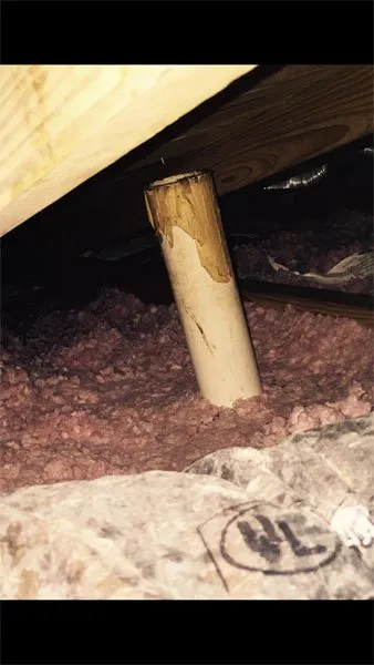 Slide of American Insulation & Rodent Solutions