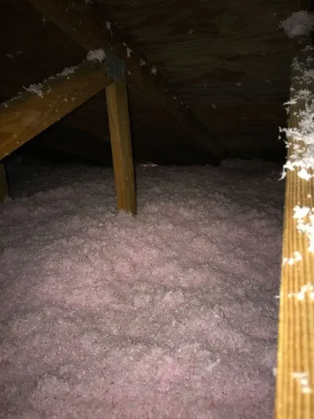 Slide of American Insulation & Rodent Solutions