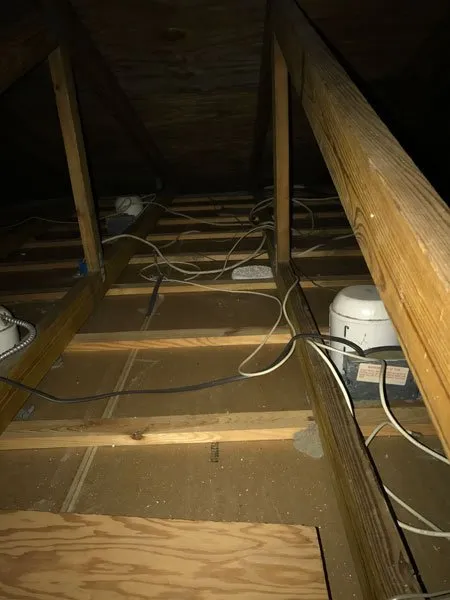 Slide of American Insulation & Rodent Solutions