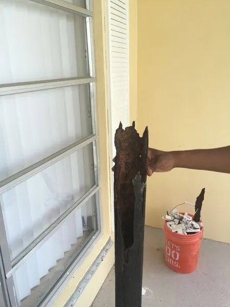 Slide of American Insulation & Rodent Solutions