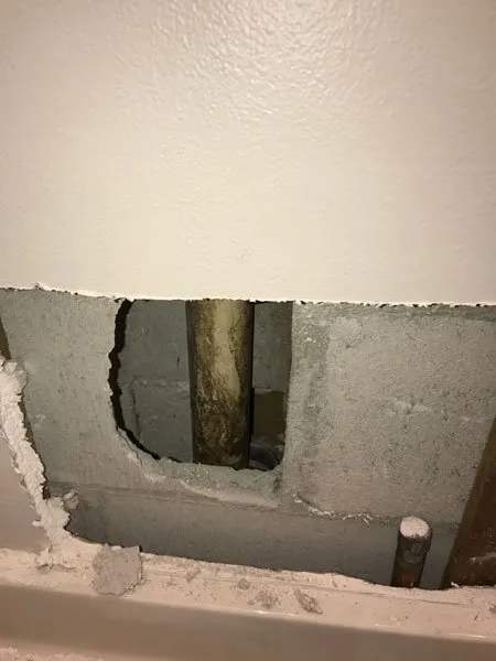 Slide of American Insulation & Rodent Solutions