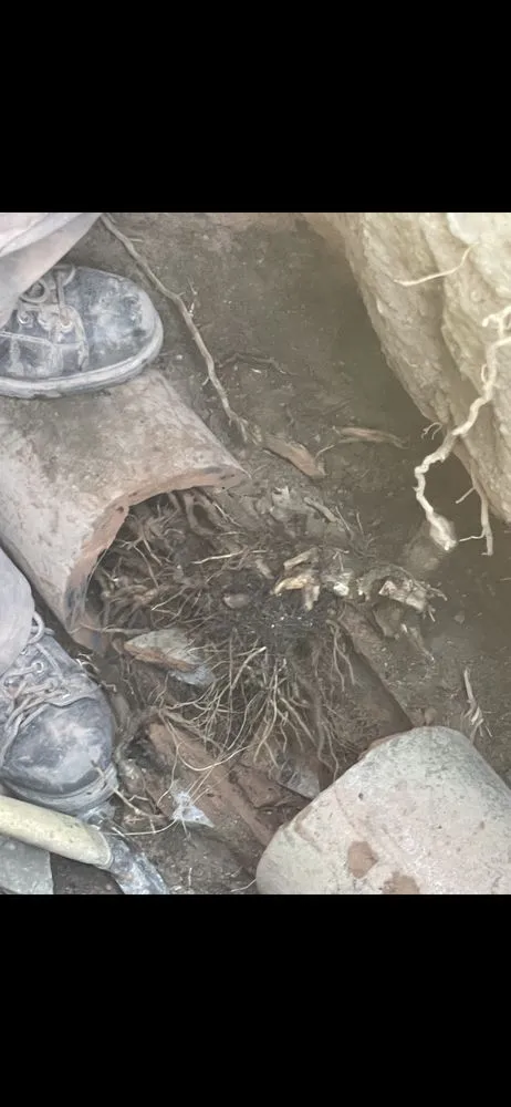 Slide of American Reliable Services