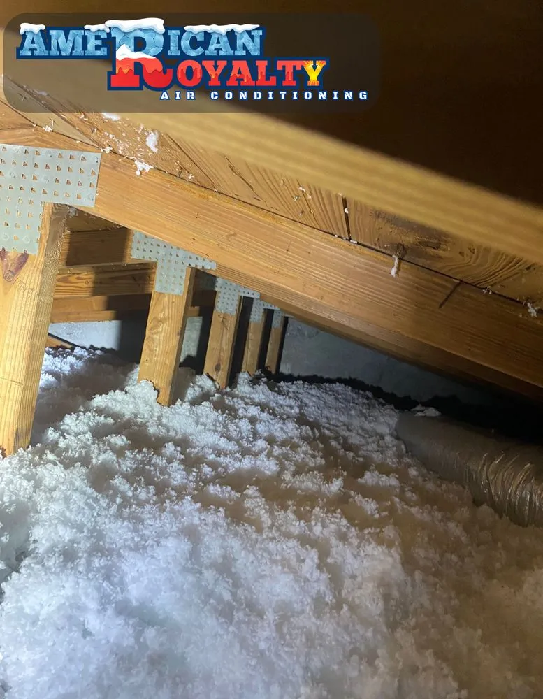 Slide of American Royalty A/C