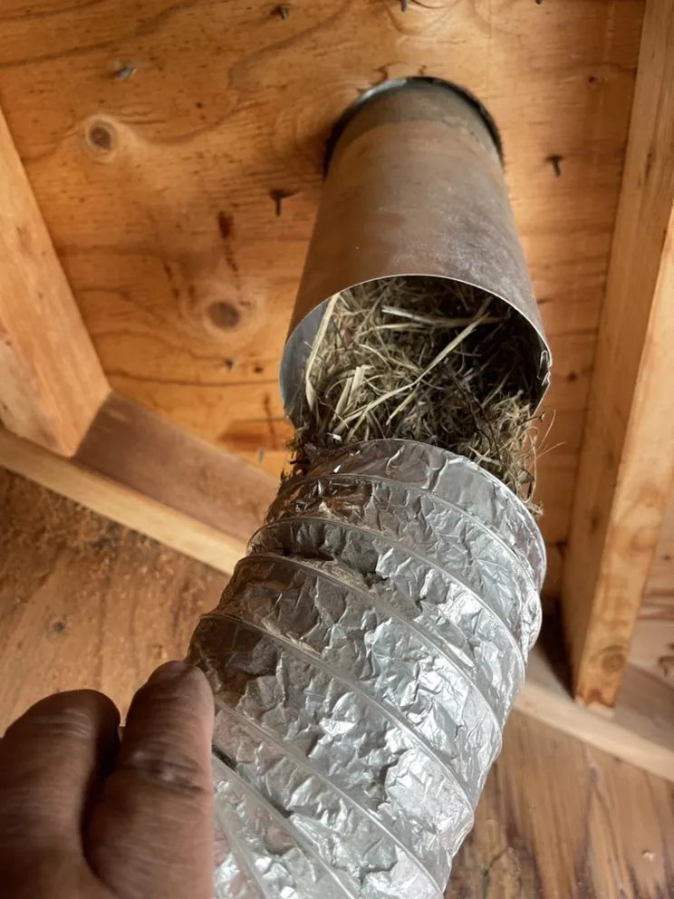 Slide of American Services Group