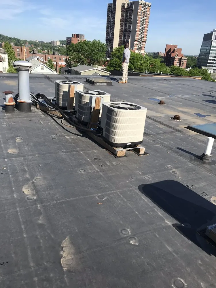 Slide of Amoschella Refrigeration