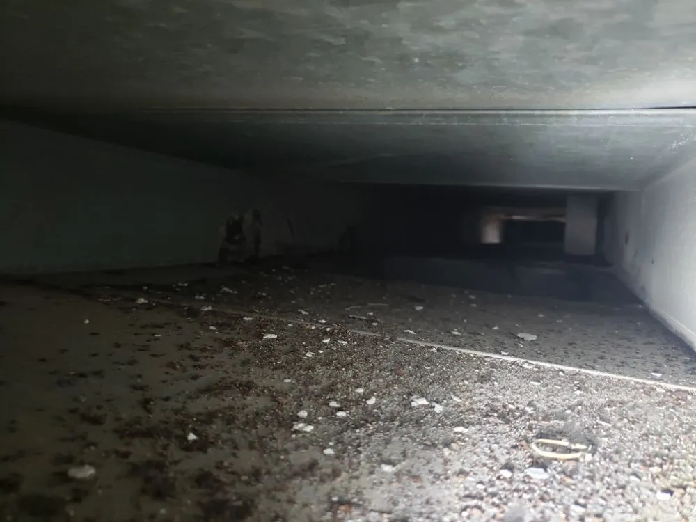 Slide of AMP Facility Services