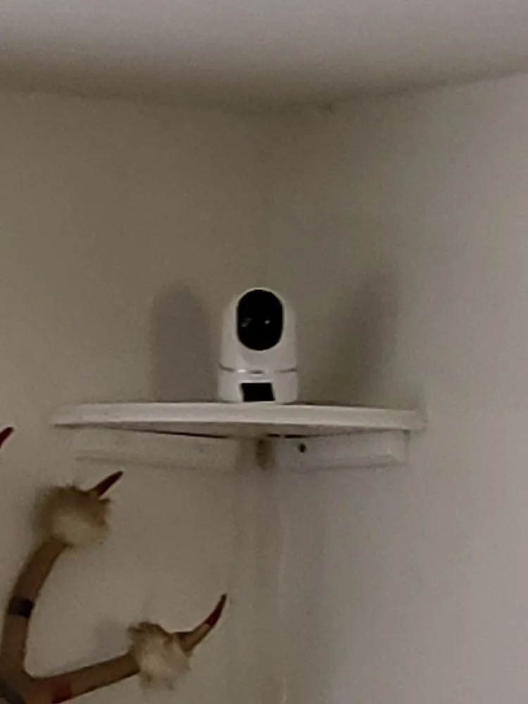 Slide of AMP Mechanical