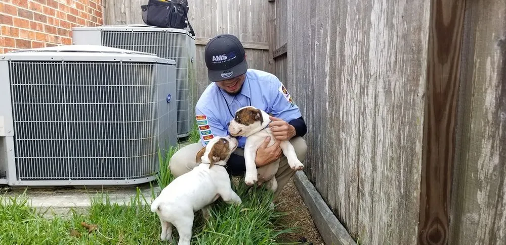 Slide of AMS ColdPro