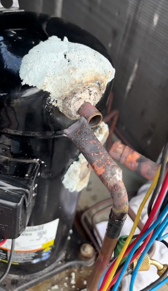 Slide of Amur Hvac R