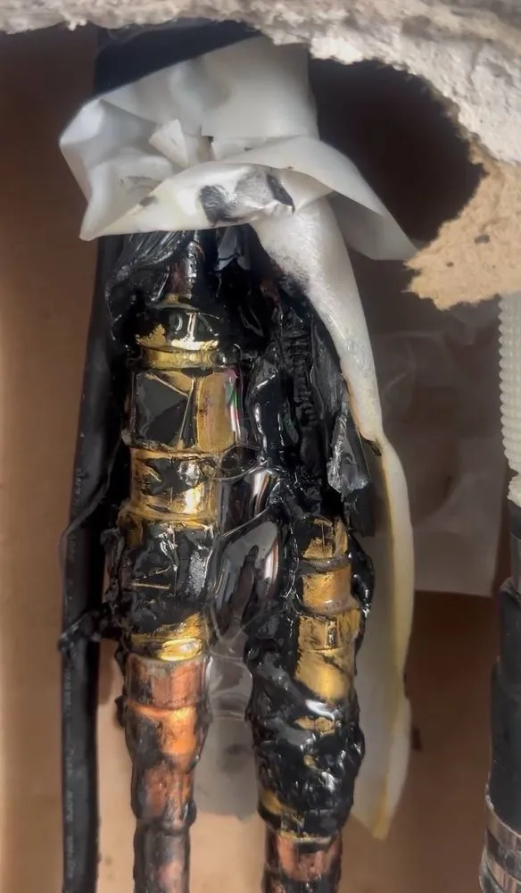 Slide of Amur Hvac R