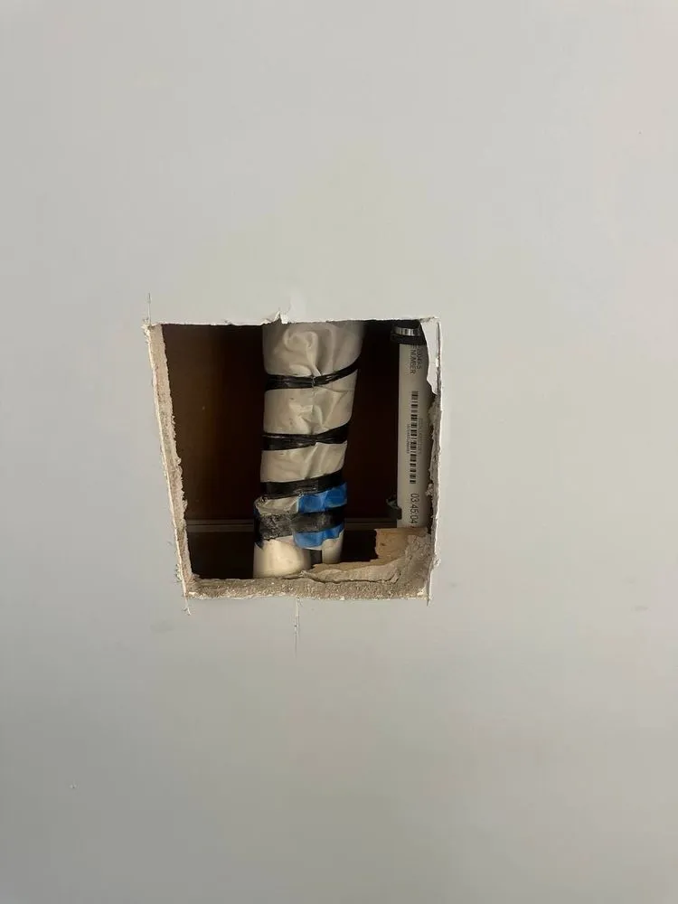 Slide of Amur Hvac R