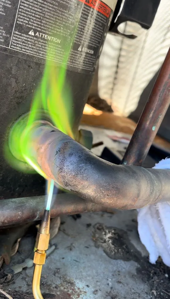 Slide of Amur Hvac R