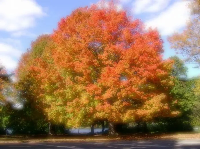 Slide of AMV Air Conditioning