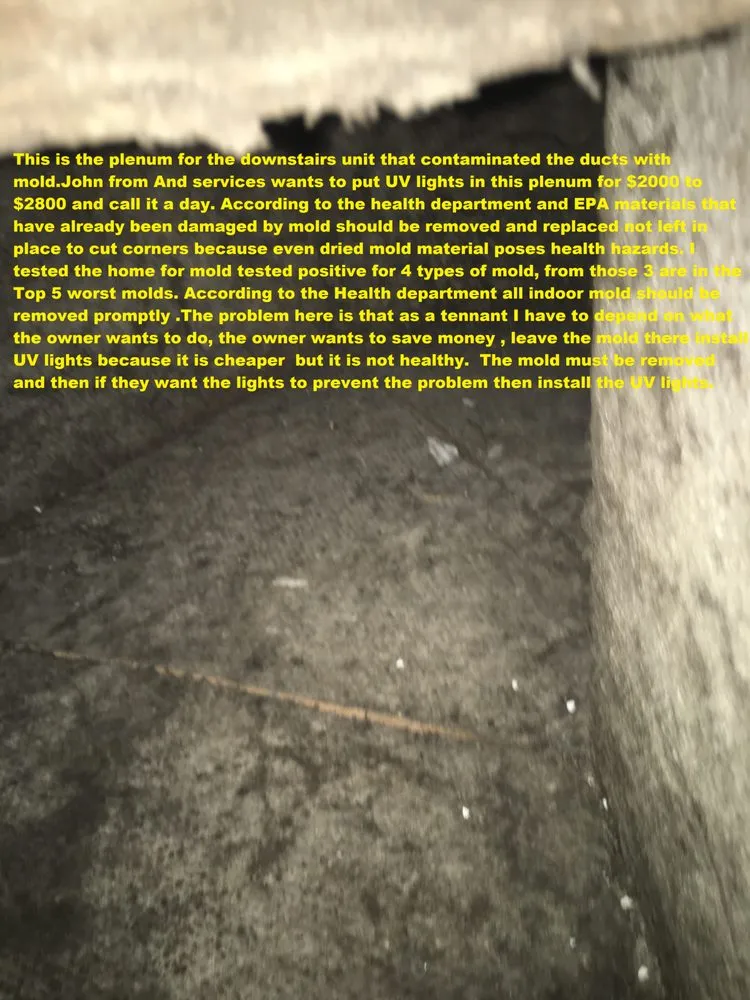 Slide of AND Services