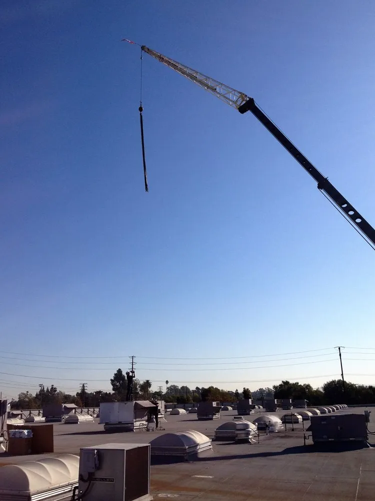 Slide of Andrew D Cooper