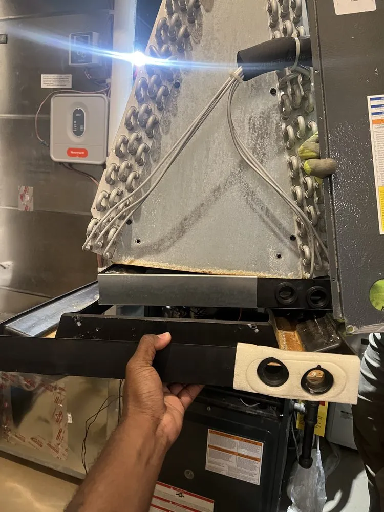 Slide of Andrew Daniels