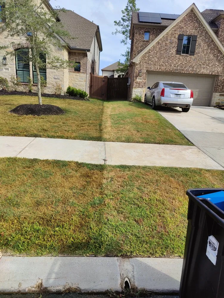 Slide of Another Saints Construction