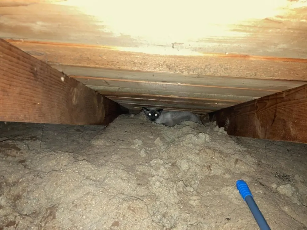 Slide of Antelope Heating And Air