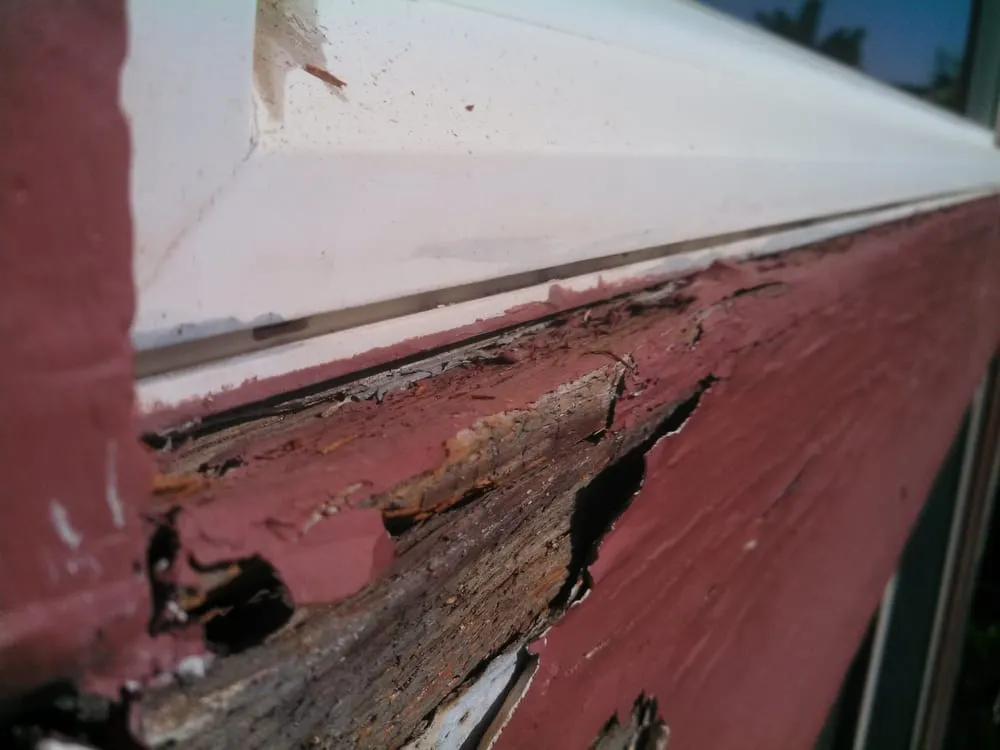 Slide of Anthony's All Service