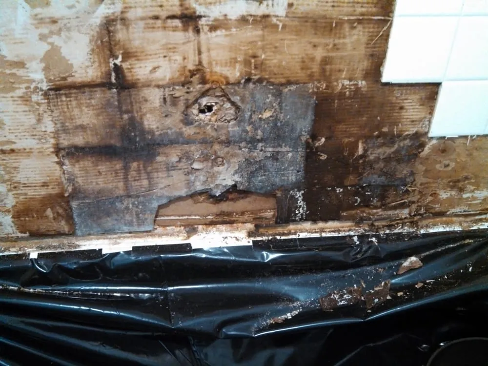 Slide of Anthony's All Service