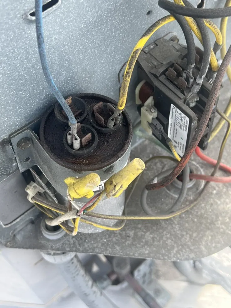 Slide of Anti-Heat Miami