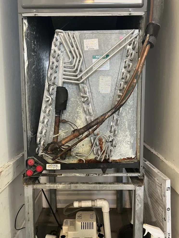 Slide of Anti-Heat Miami