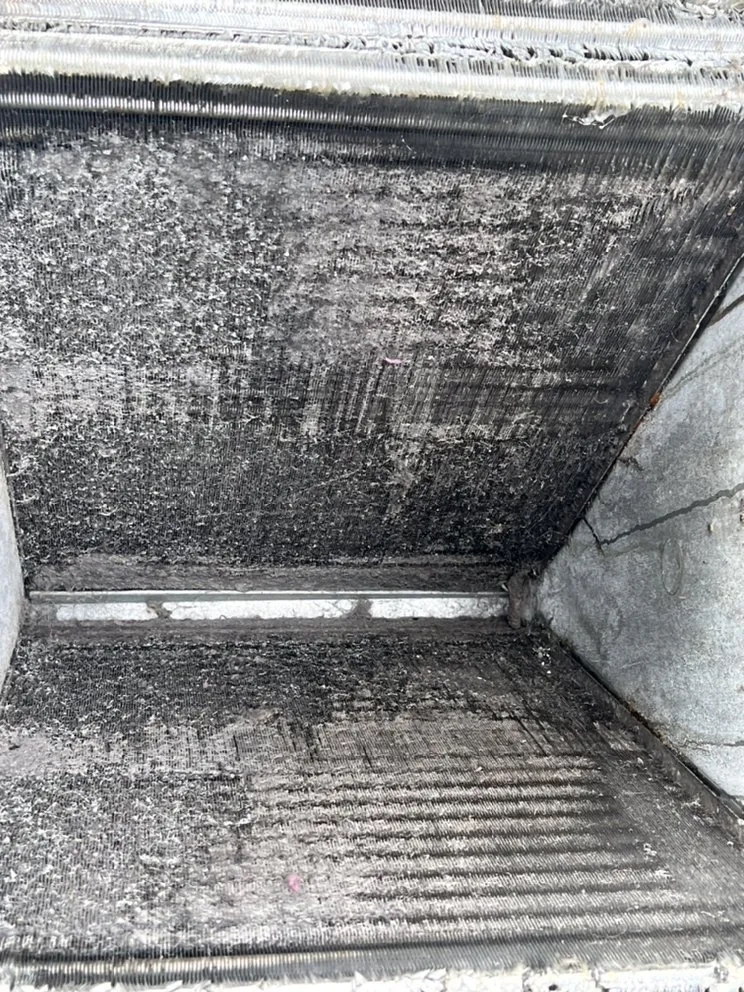 Slide of Anti-Heat Miami