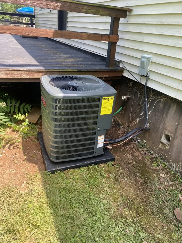 Slide of Antonio Carter