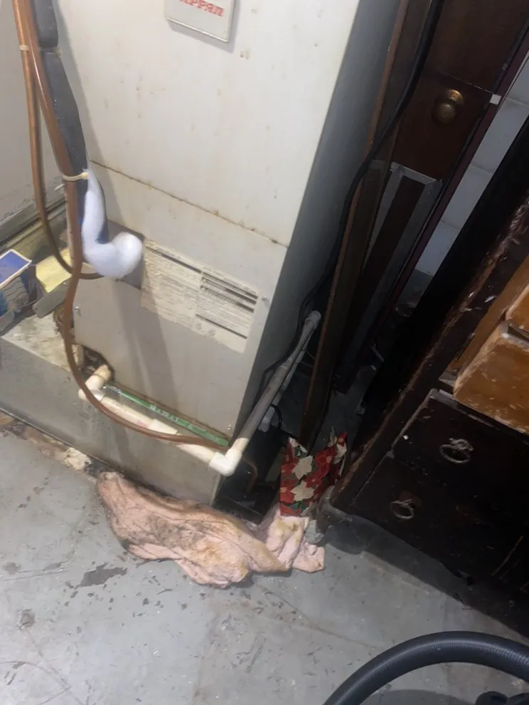 Slide of Antonio Carter