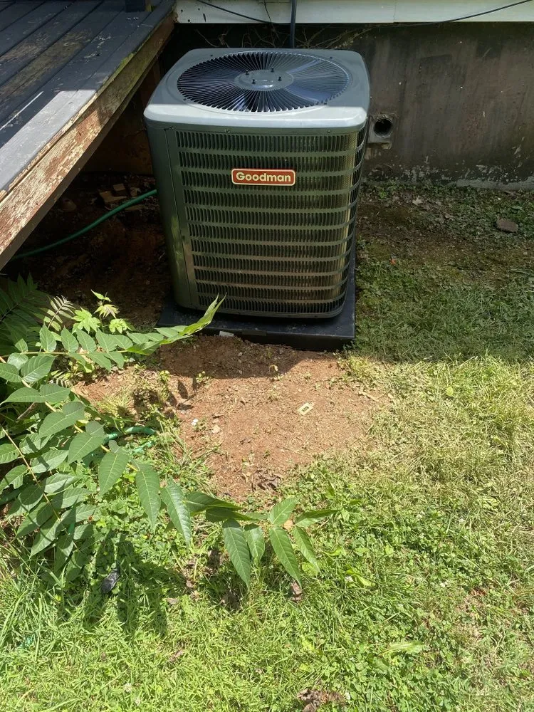 Slide of Antonio Carter