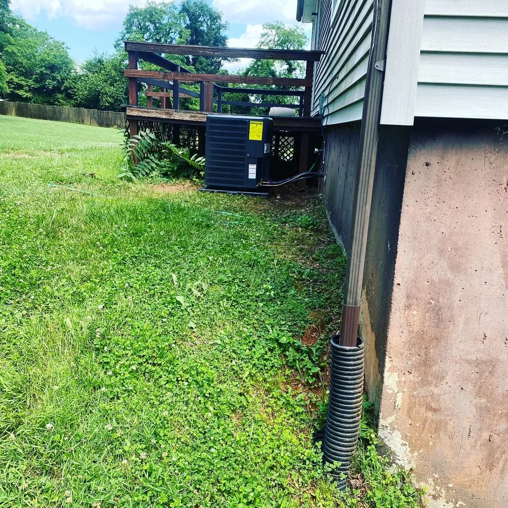 Slide of Antonio Carter