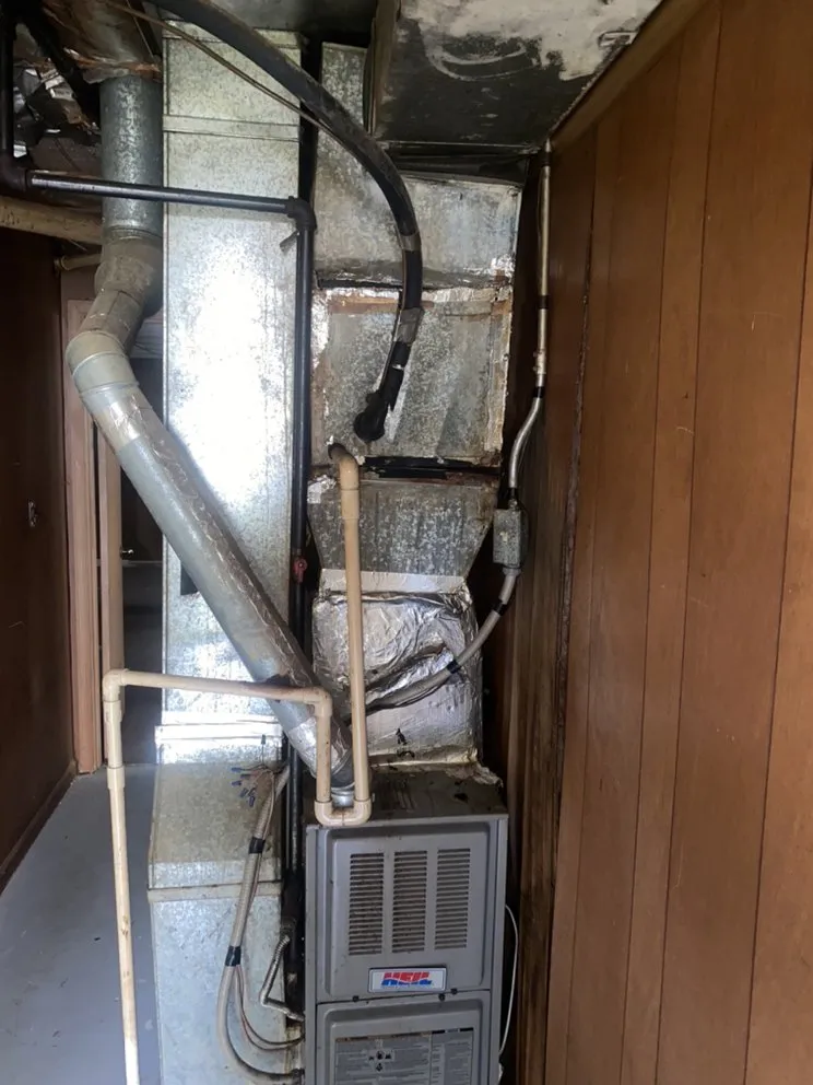 Slide of Antonio Carter