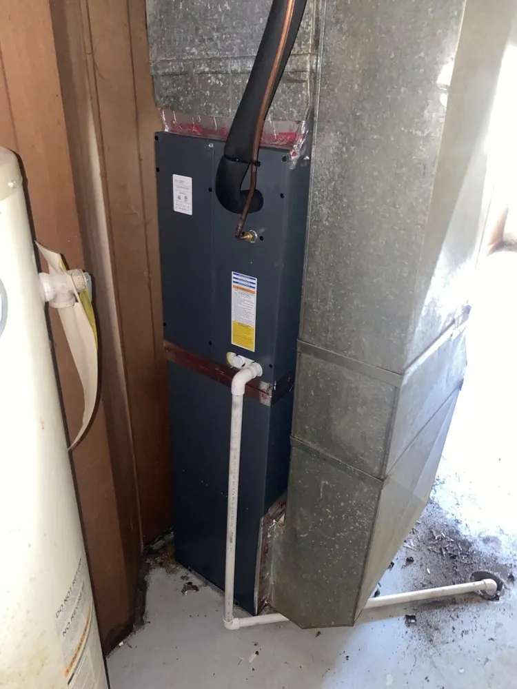 Slide of Antonio Carter