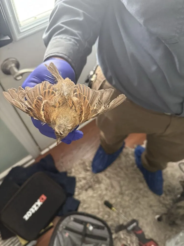 Slide of Any Temp Heating And Cooling