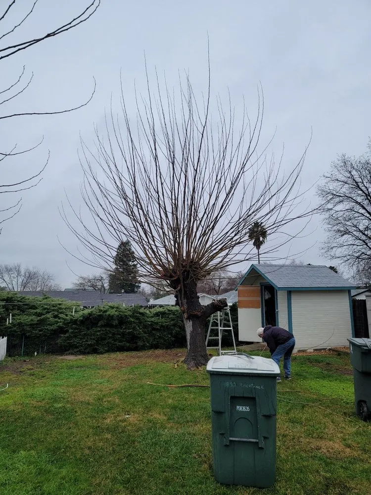 Slide of Anytime Fixin' Handyman Service