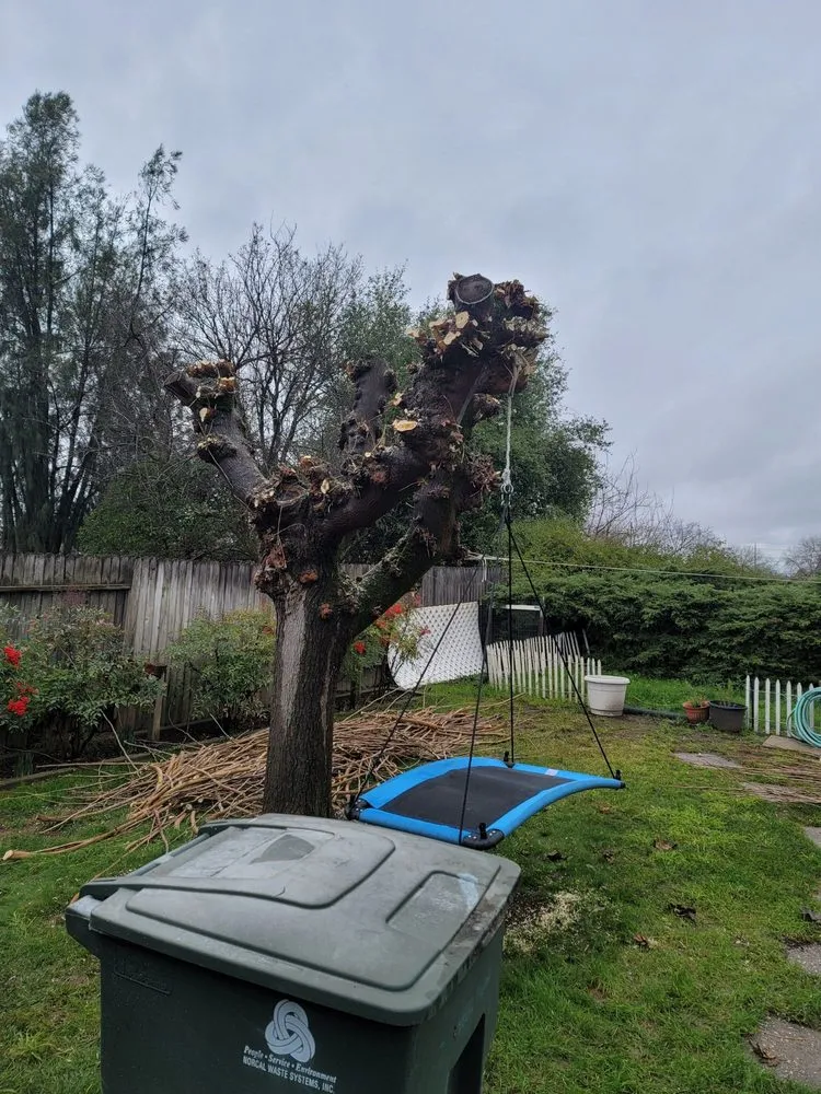 Slide of Anytime Fixin' Handyman Service