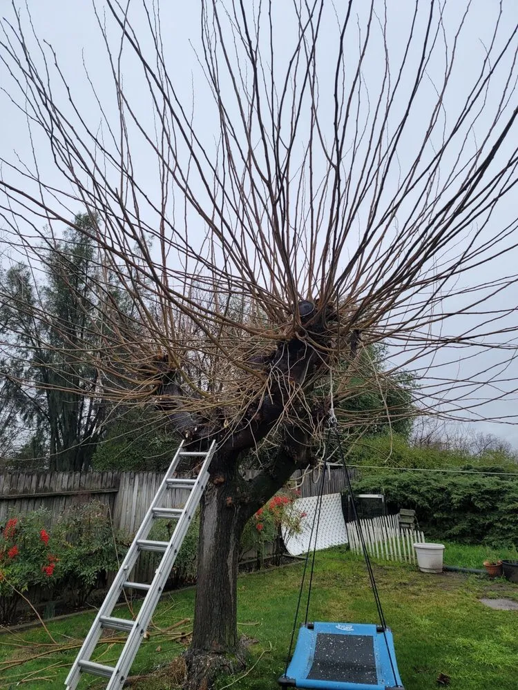 Slide of Anytime Fixin' Handyman Service