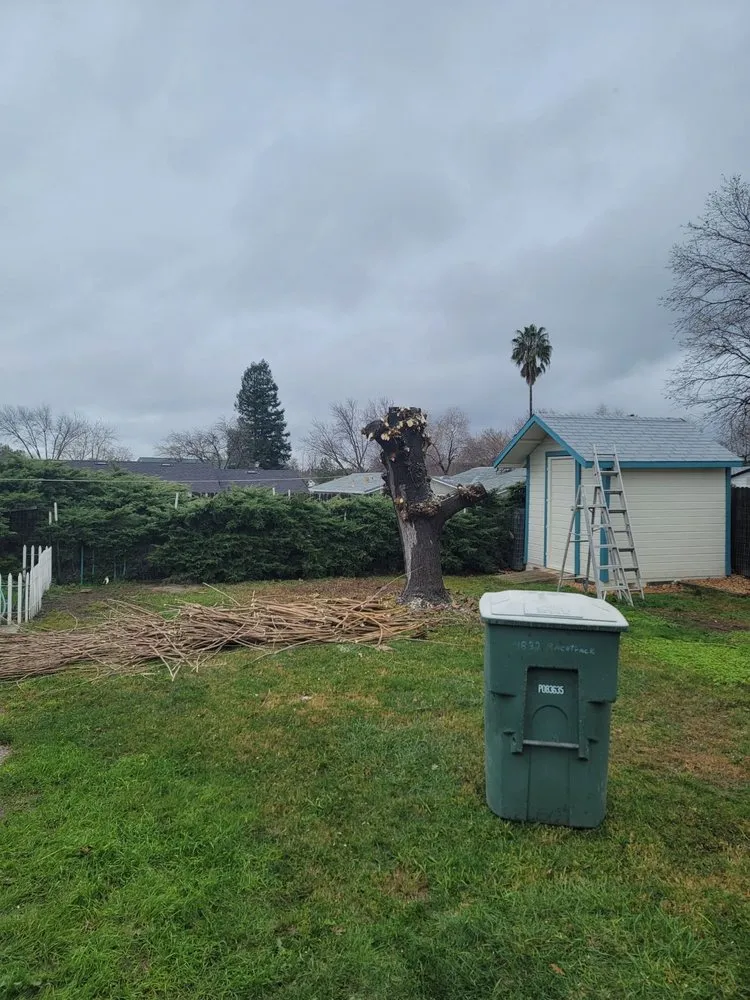 Slide of Anytime Fixin' Handyman Service