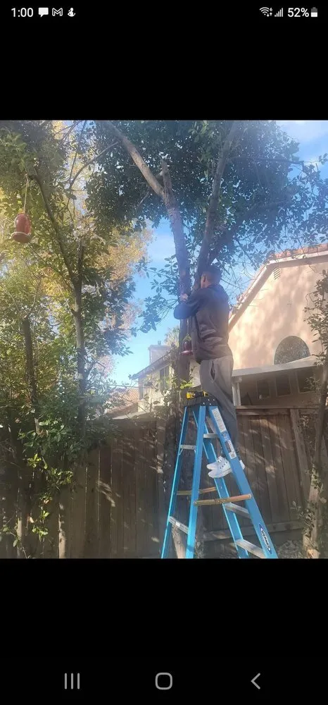 Slide of Anytime Fixin' Handyman Service