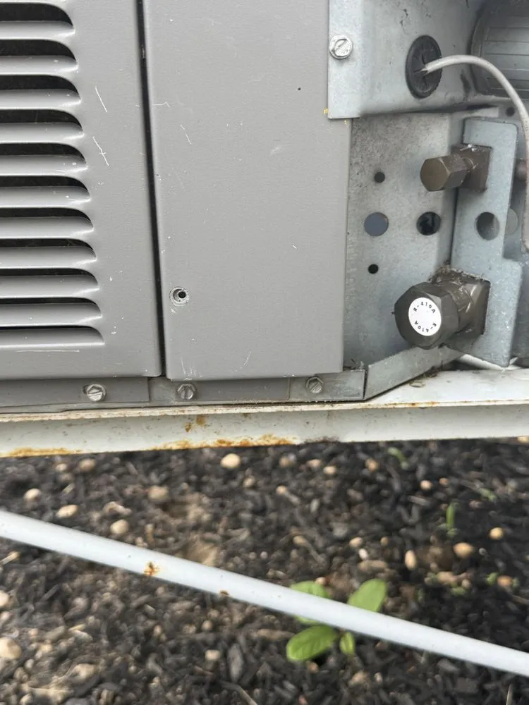 Slide of AP Heating and Cooling