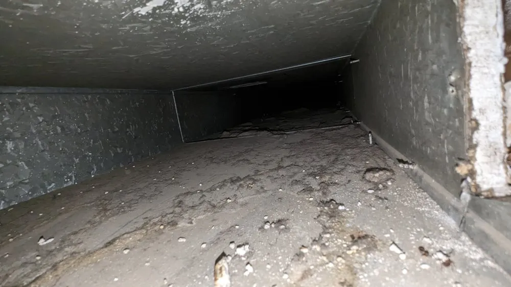 Slide of Apex Clean Air