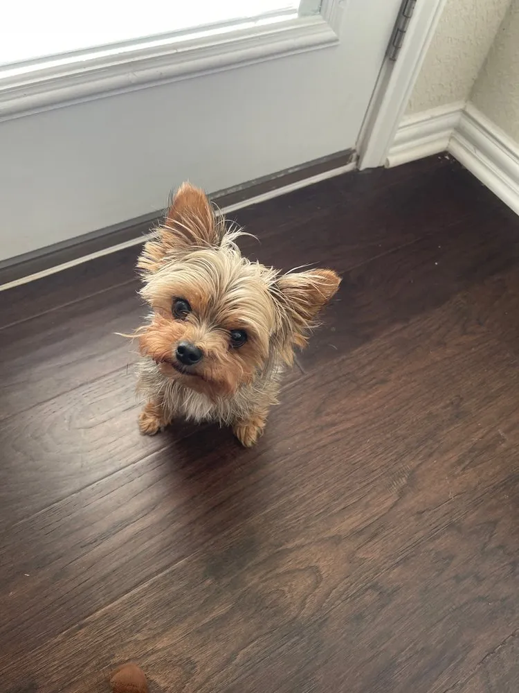 Slide of Apex Heating & Air Conditioning