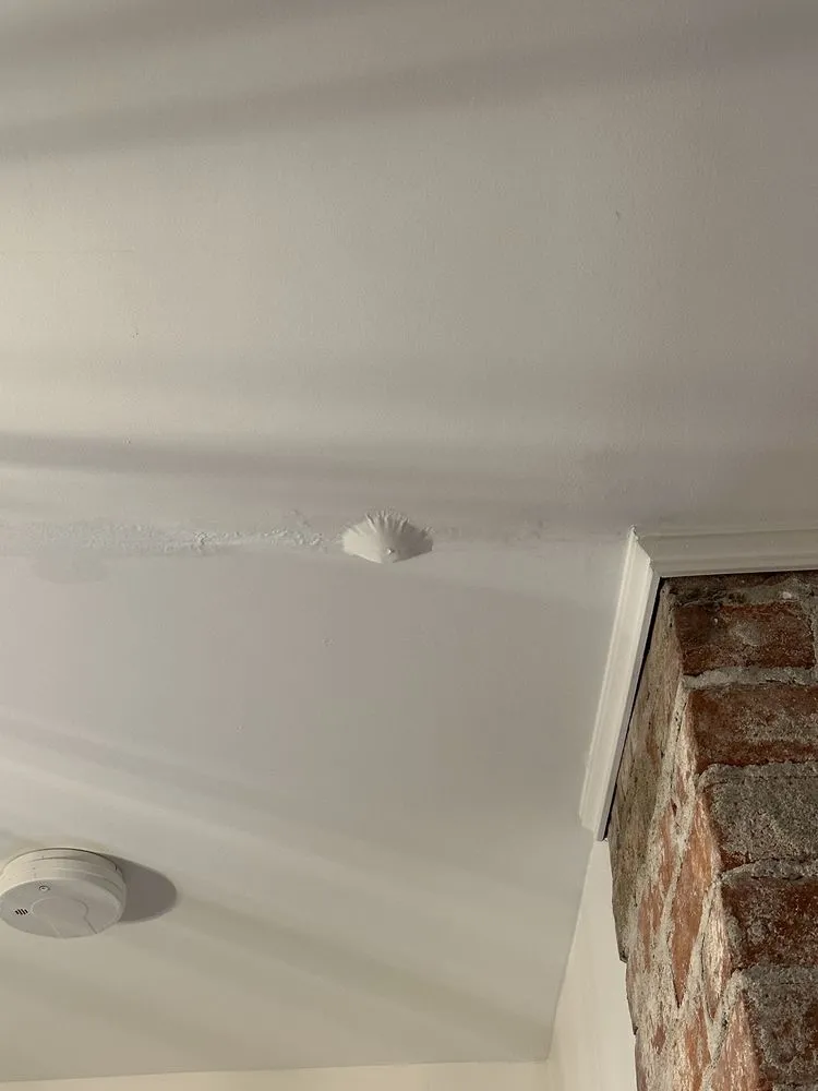 Slide of Apollo Home