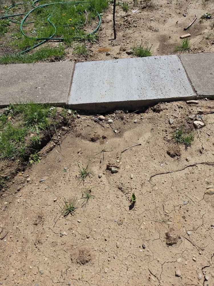 Slide of Apollo Home