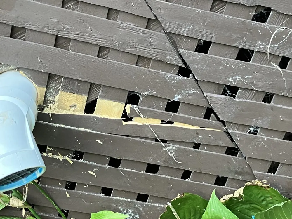 Slide of Appleton Campbell