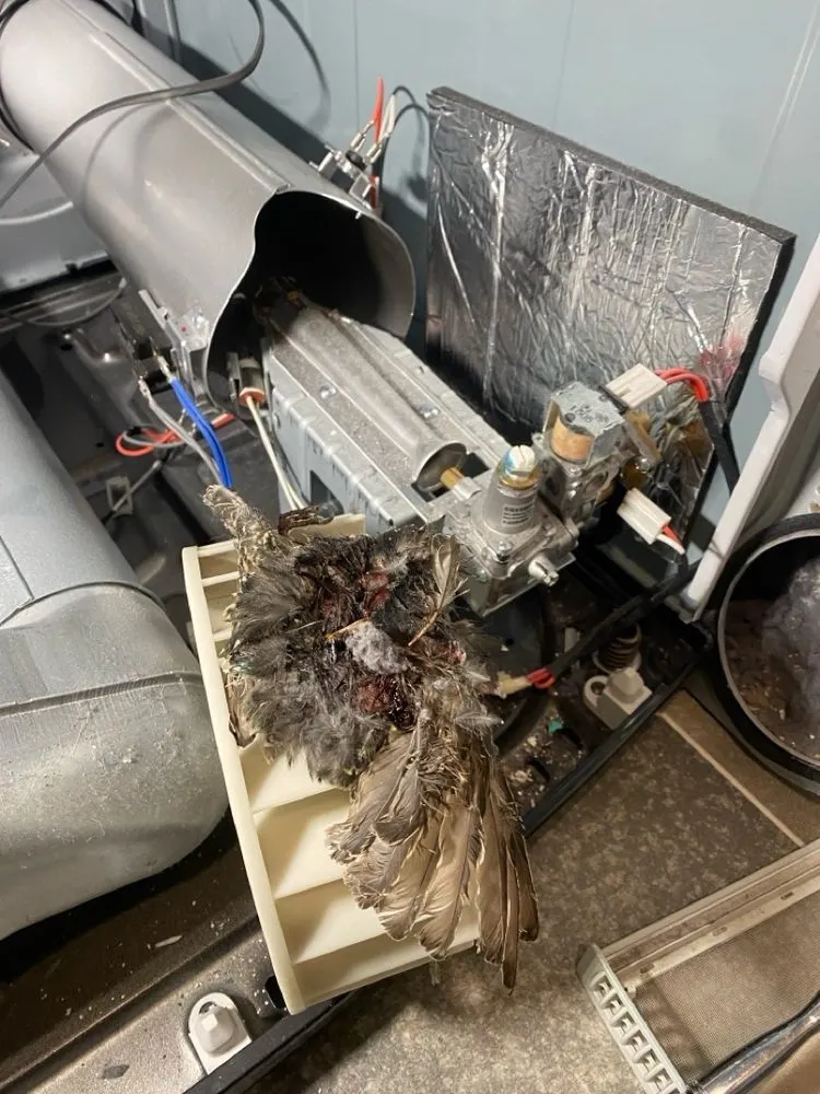 Slide of Appliance Doctor and Hvac Repair