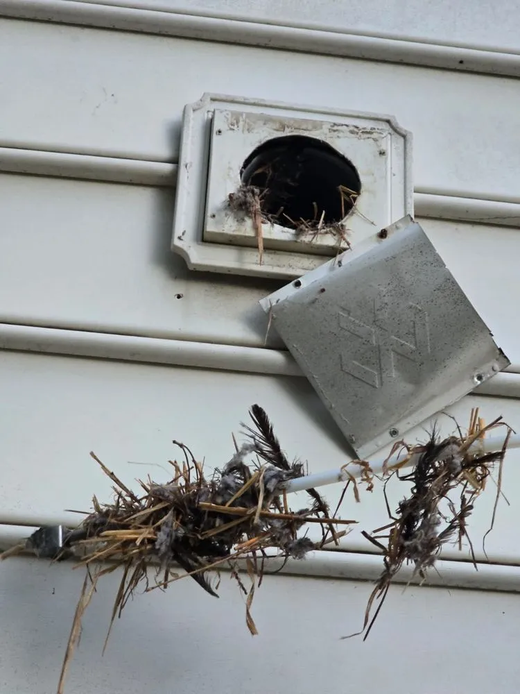 Slide of Appliance Fix Pros