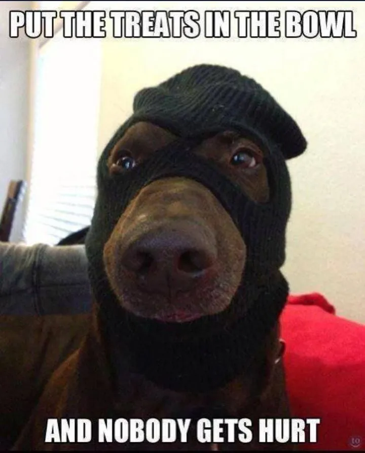 Slide of Appliance Guard