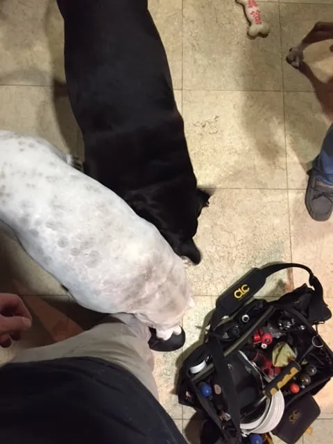 Slide of Appliance Guard